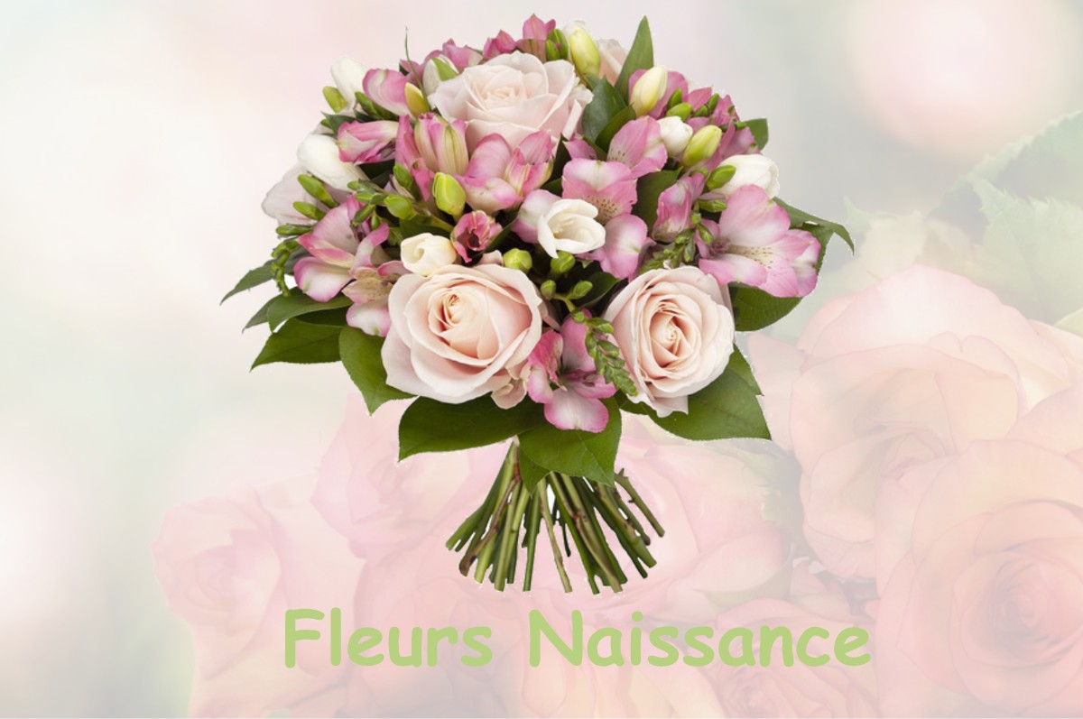 fleurs naissance SAINT-PIERRE-LA-RIVIERE